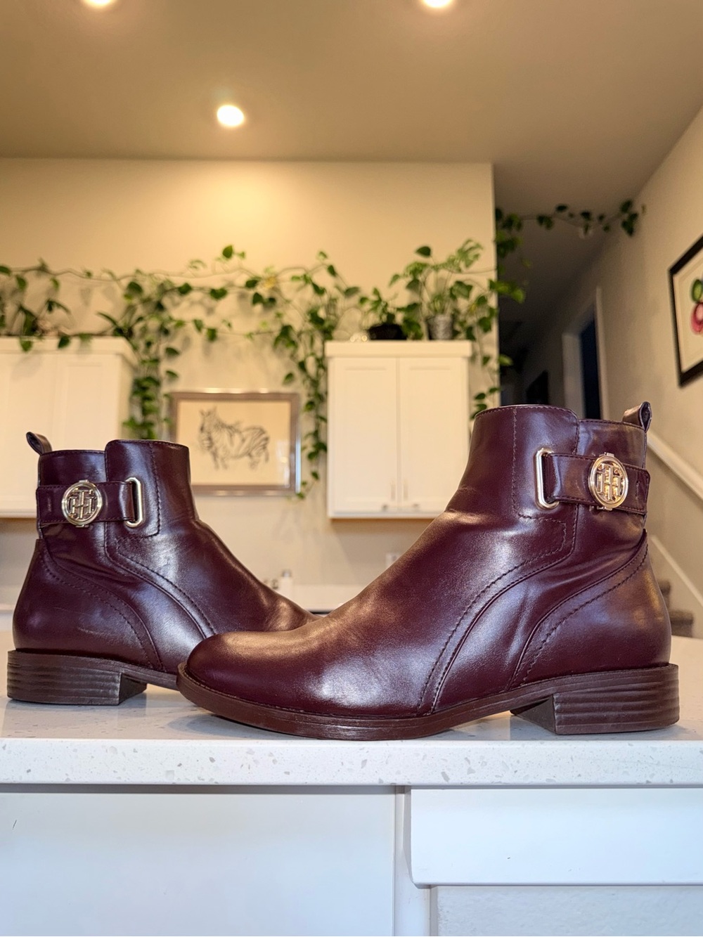 Tommy Hilfiger Burgundy Leather Ankle Booties with Gold Emblem